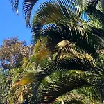 Paraiso Prumirim
