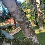 Paraiso Prumirim