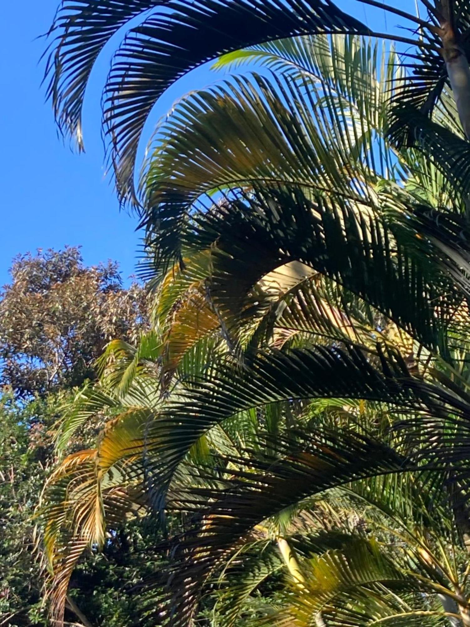 Casa de férias Paraiso Prumirim *