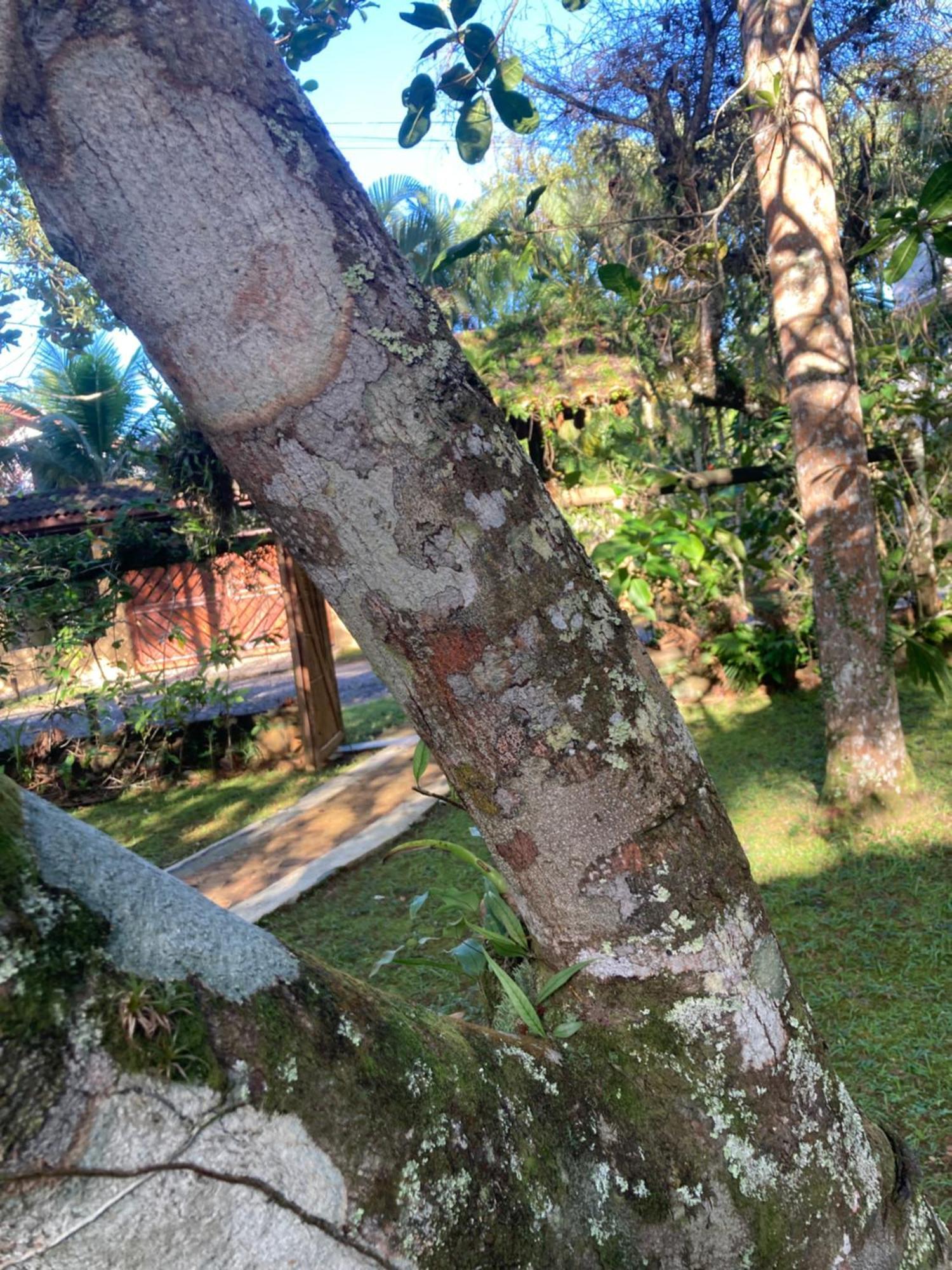 Paraiso Prumirim *