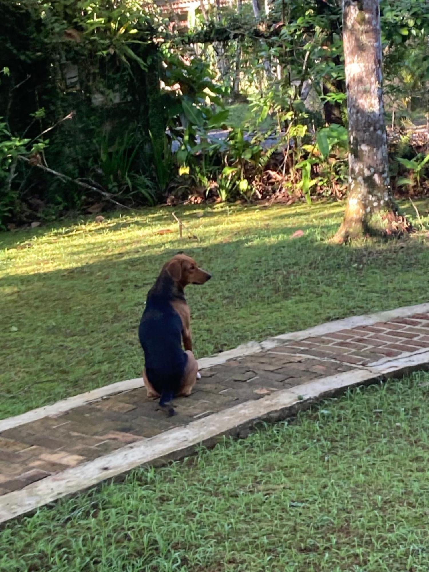 Paraiso Prumirim * Ubatuba